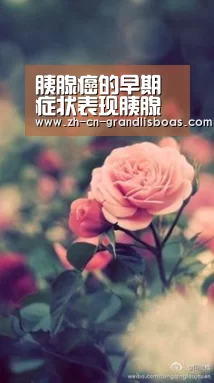 胰腺癌的早期症状表现胰腺癌怎么科学护理:新葡京娱乐官网(图4) 新葡京娱乐官网