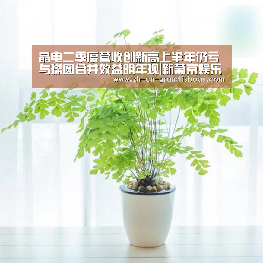 晶电二季度营收创新高上半年仍亏与璨圆合并效益明年现|新葡京娱乐官网(图1) 新葡京娱乐官网