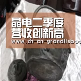 晶电二季度营收创新高上半年仍亏与璨圆合并效益明年现|新葡京娱乐官网(图3) 新葡京娱乐官网