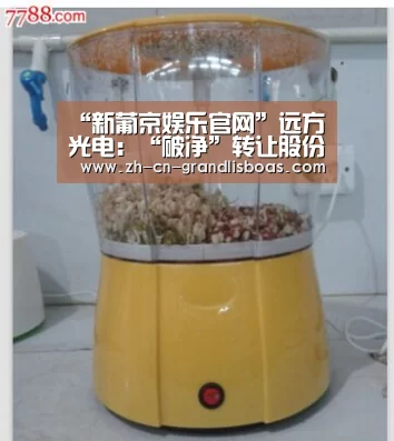 “新葡京娱乐官网”远方光电:“破净”转让股份涉嫌利益输送(图2) 新葡京娱乐官网